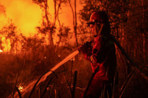 As El Niño Dries Indonesia, Wildfires Intensify