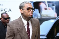 Chris Brown’s Ex-Housekeeper Can Take Cut of Tour Profits to Pay $13M Dog Attack Verdict, Judge Says