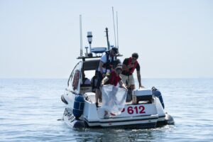 Octopuses released into Adriatic Sea to tackle invasive crabs