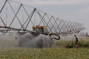 Attacks in Black Sea Threaten to Strangle Global Grain Supply