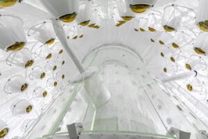 The first signs of dark matter particles may finally have been spotted